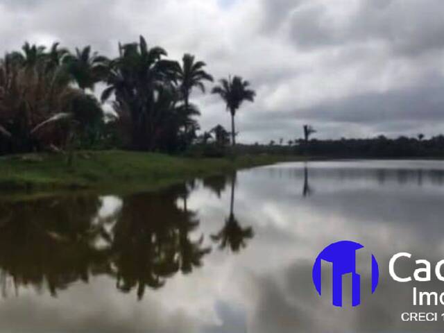 #11 - Fazenda para Venda em São Mateus do Maranhão - MA