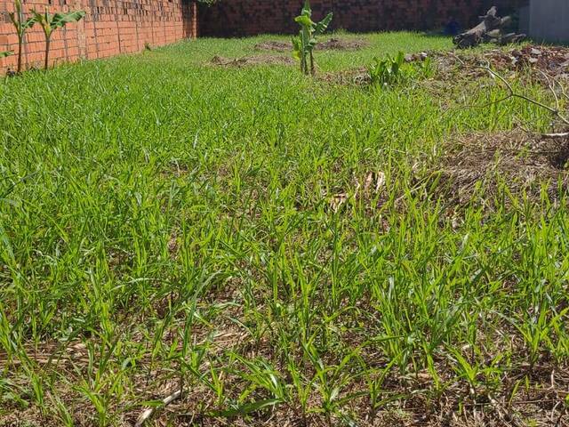 #25 - Terreno para Venda em São José de Ribamar - MA