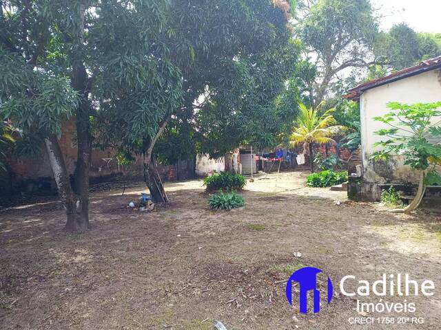 #40 - Área para Venda em São José de Ribamar - MA - 1