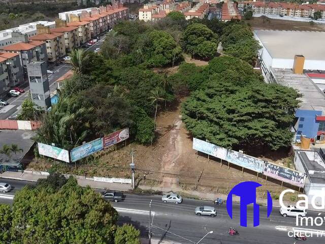 PANORAMICA